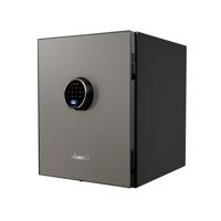 PHOENIX SPECTRUM PLUS SAFE SLV LS6011FS