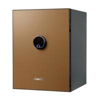 PHOENIX SPECTRUM PLUS SAFE GOLD LS6012FG