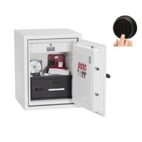 PHOENIX DATACOMBI FIRE SAFE DS2501F
