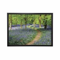 WALK THROUGH BLUEBELL PRINT 24X16IN