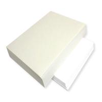 BUSINESS PAPER A4 WHITE LAID 100G (500)