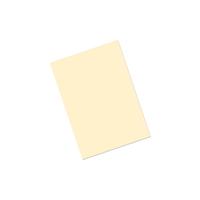 PROFESSIONAL PAPER CREAM A4 100G (500)