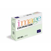 COLORACTION A3 80G JUNGLE (500) 89624