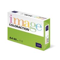 COLORACTION A4 80G JAVA (500) 89610