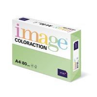 COLORACTION A4 80G FOREST (500) 97152
