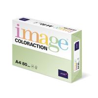 COLORACTION A4 80G JUNGLE (500) 89600