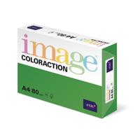 COLORACTION A4 80G DUBLIN (500) 89617