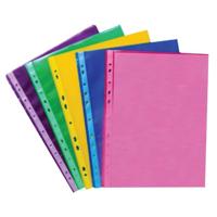 PUNCHED POCKETS A4 ASST (50)