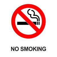 NO SMOKING WDW STICKER A4 SAV