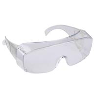 BEESWIFT SEATTLE SAFETY OVER SPECS FP03