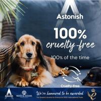 ASTONISH ALL IN 1 DISHWSHR TABS P100