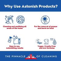 ASTONISH ALL IN 1 DISHWSHR TABS P100