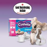 CUSHELLE TOILET ROLLS WT PK32