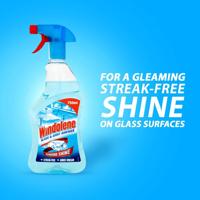 WINDOLENE GLASS/SURFC CLEANER 750ML