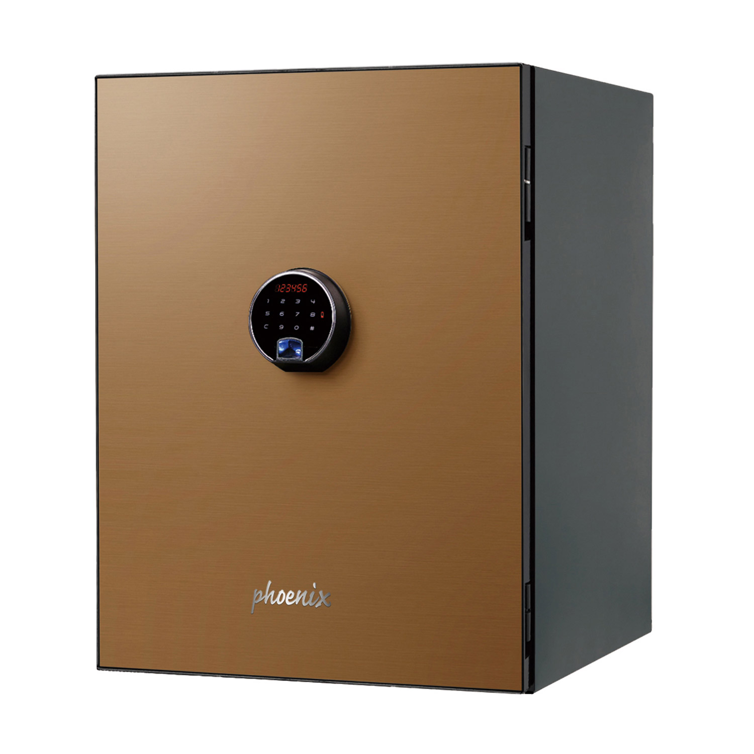 PHOENIX SPECTRUM PLUS LS6012FG FIRE SAFE