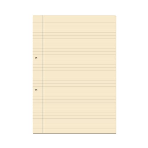 RHINO A4 Punched Exercise Paper 1000 Pages / 500 Leaf 8mm Lined with Margin RHINO A4 Punched Exercise Paper 1000 Pages / 500 Leaf 8mm Lined with Margin