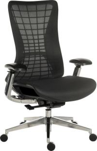 Teknik Office Quantum Executive Chair Breathable Mesh Backrest Multi-Adjustable Padded Armrests
