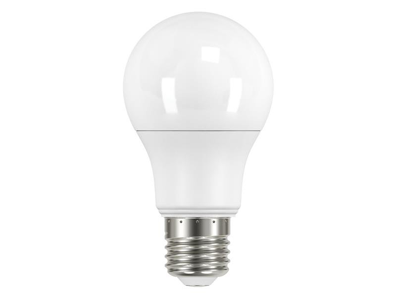 ENG LED ES (E27) OPAL GLS NON-DIMMABLE B