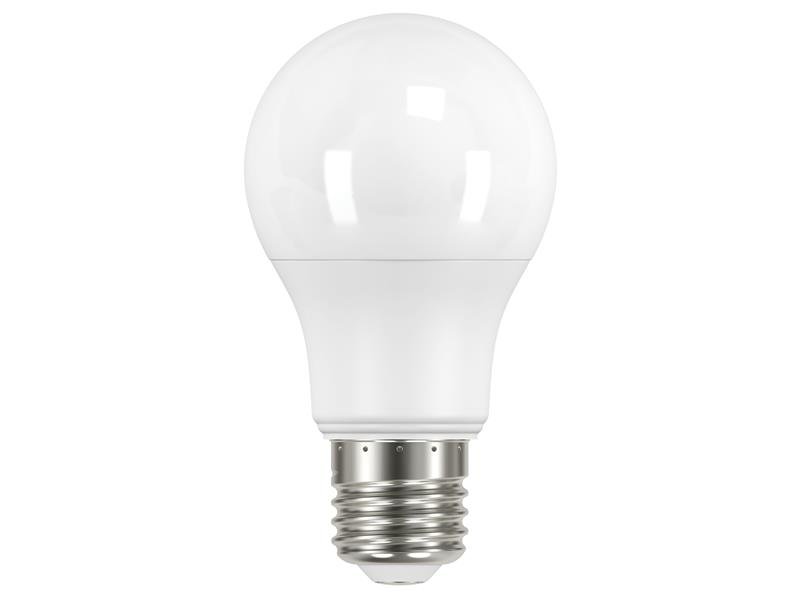 ENG LED ES (E27) OPAL GLS NON-DIMMABLE B