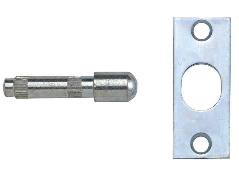 YAL P125 HINGE BOLTS BRASS