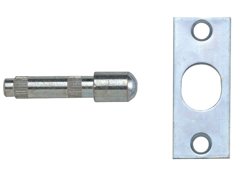 YAL P125 HINGE BOLTS ZINC