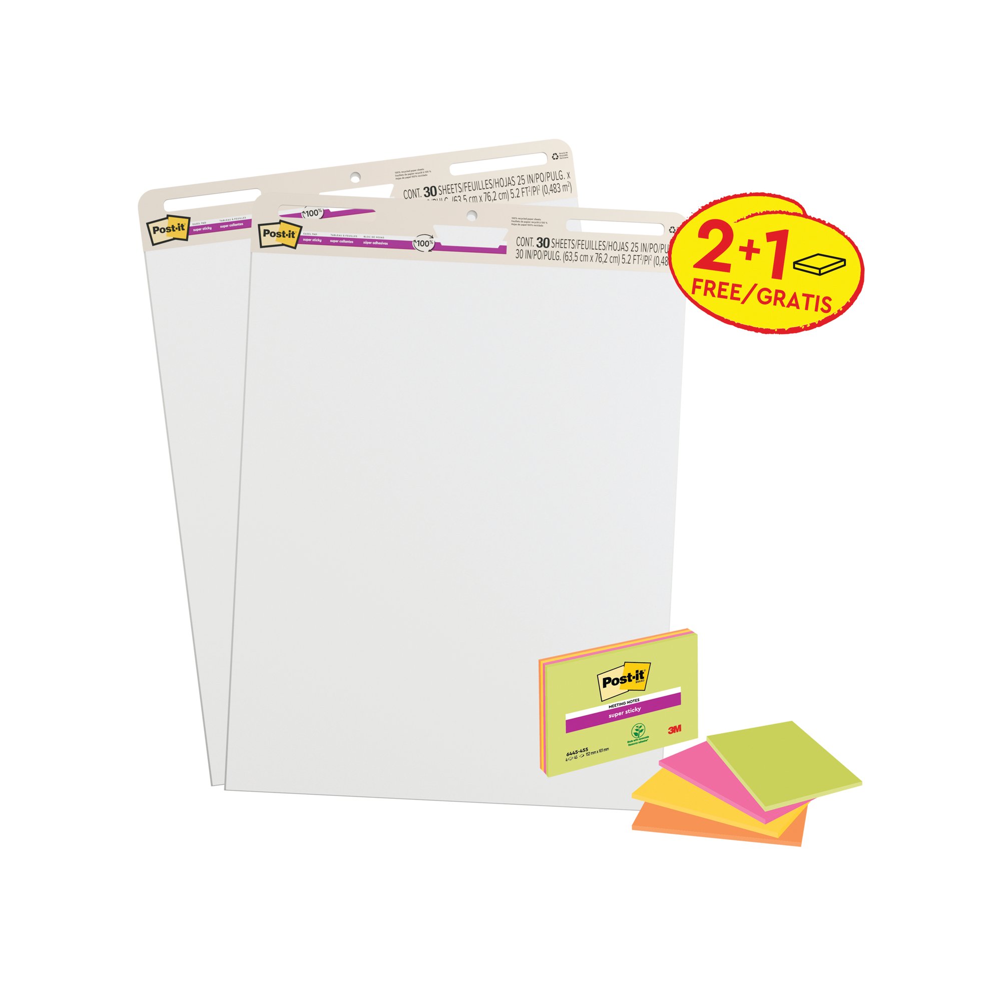 SS MEETING CHART/NOTES 2+1 PK3