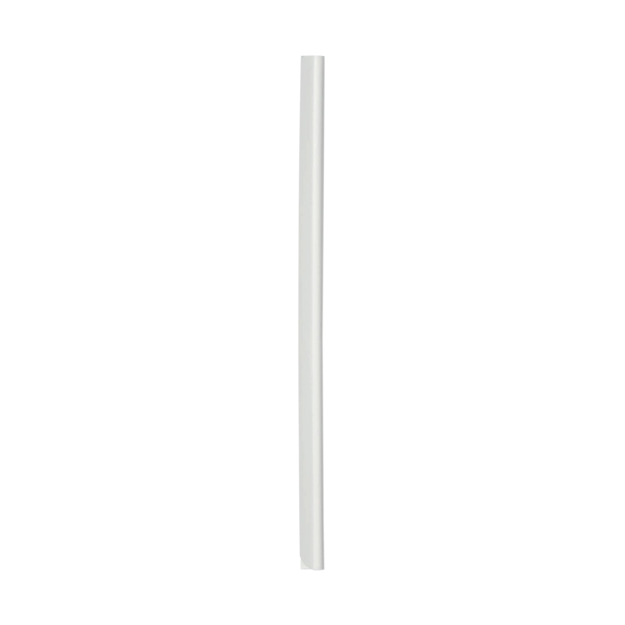 DURABLE 6MM SPINE BAR A4 WHT PK100