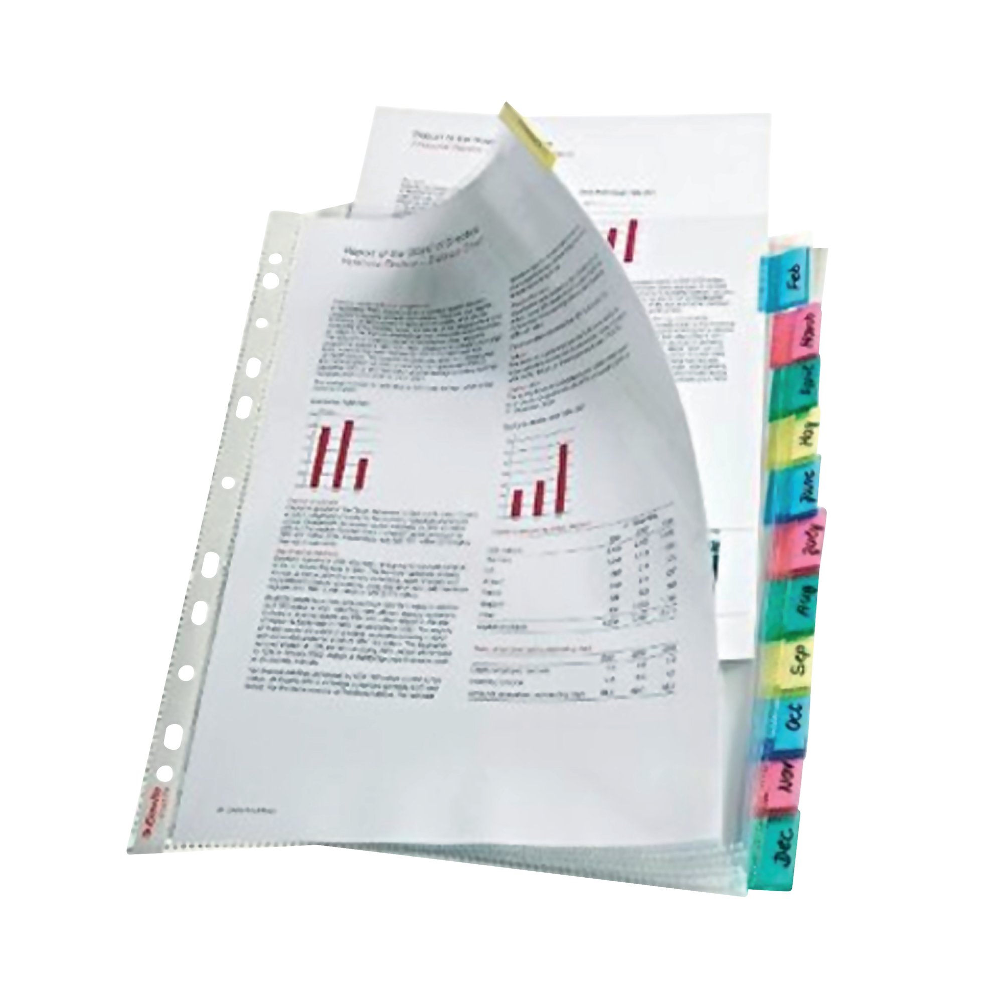 ESSELTE INDEX POCKETS 12 TAB AST