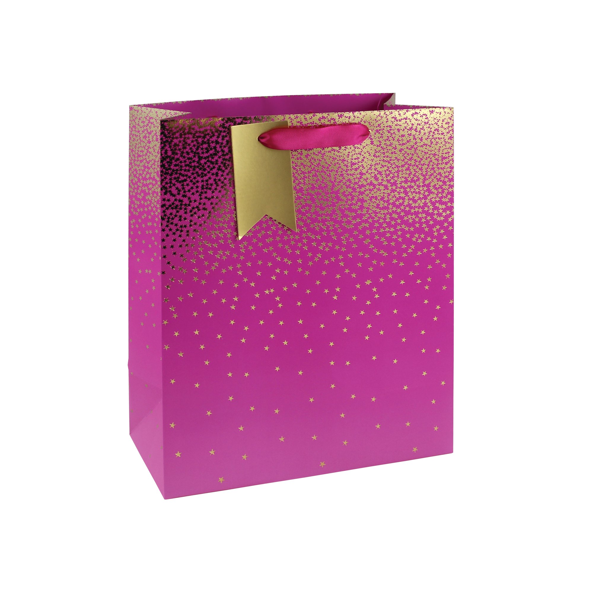 EUROWRAP OMBRE GIFT BAG LG PINK PK6