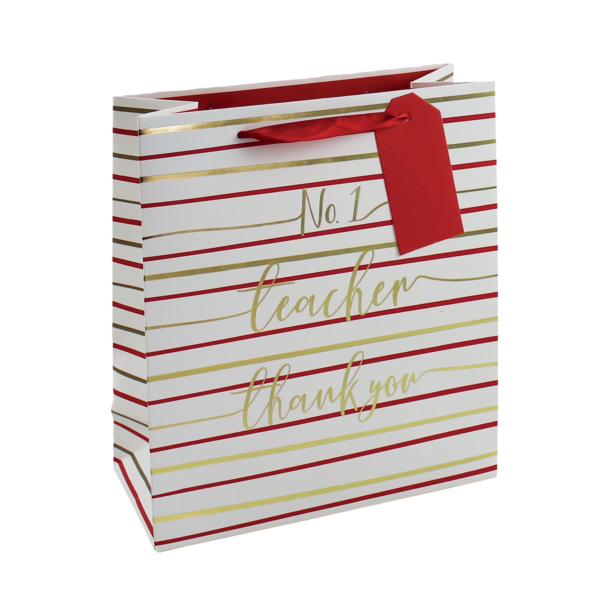 EUROWRAP NO1 TEACHER BAG MEDIUM PK6