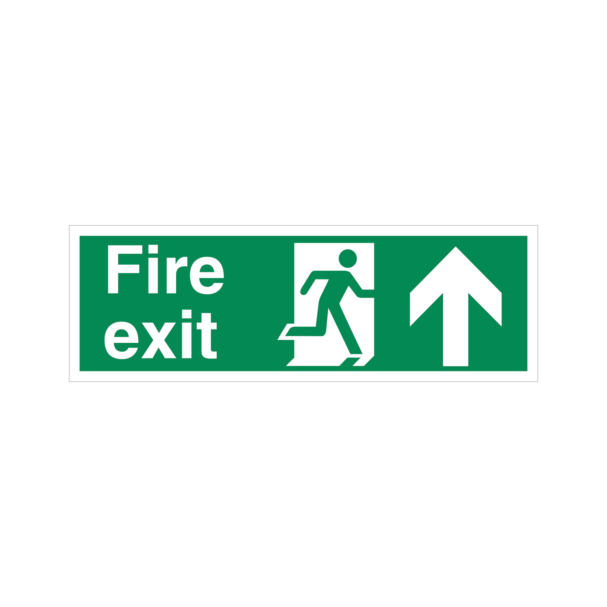 FIRE EXIT RMAN ARR UP VINYL 450
