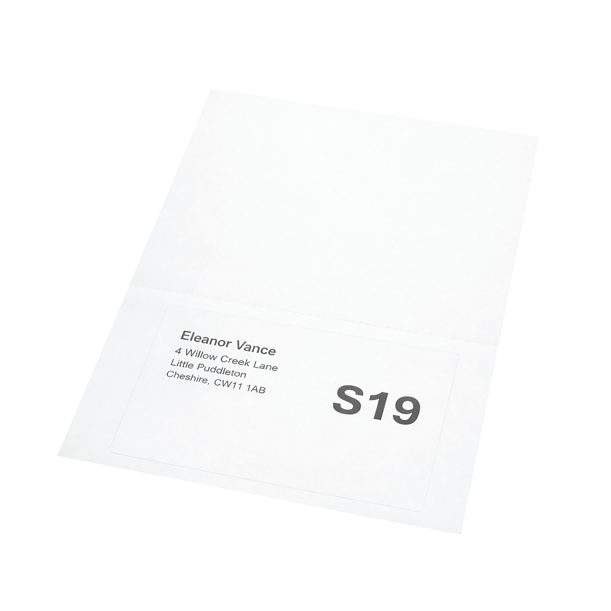 A4 INTEGRATED LAB S19 160X105 PK1000