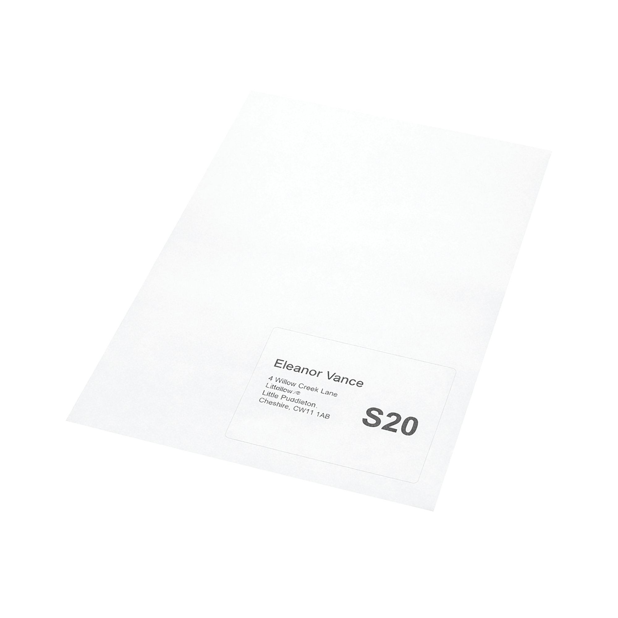 A4 INTEGRATED LAB S20 160X105 PK1000