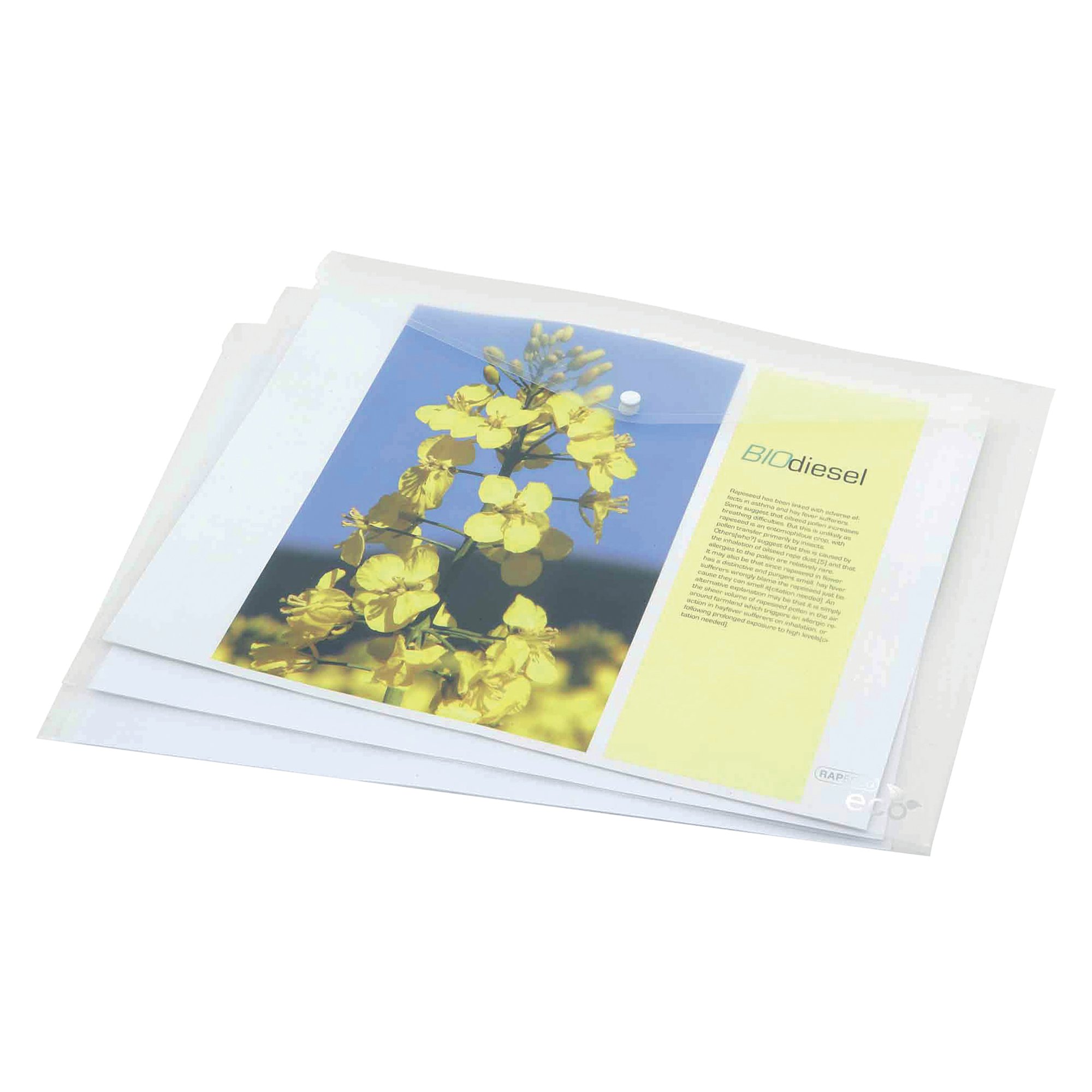 RAPESCO ECO PP WALLET A3 CLEAR PK5