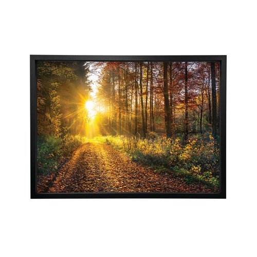 Woodland Walk In The Autumn Framed Print A2 16x24 Inches FP1STVCD30028A2S Woodland Walk In The Autumn Framed Print A2 16x24 Inches FP1STVCD30028A2S