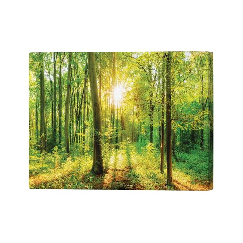 Green Forest Beauty Canvas Print 26x40 Inches SC1STVCD30130L Green Forest Beauty Canvas Print 26x40 Inches SC1STVCD30130L