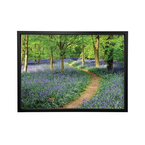 Walk Through The Bluebell Path Framed Print A2 16x24 Inches FP1STVCD16587A2S Walk Through The Bluebell Path Framed Print A2 16x24 Inches FP1STVCD16587A2S