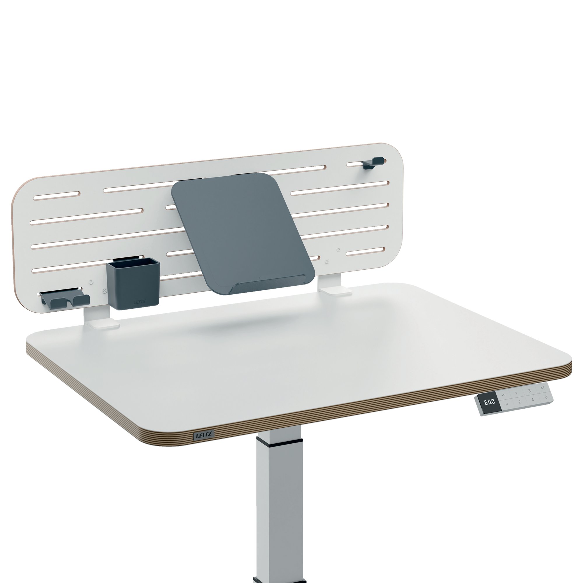 LEITZ ERGO PEGBRD DESK ORG W/HOLDER