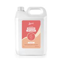 2WORK ECO WASHING UP LIQ 5L PK2