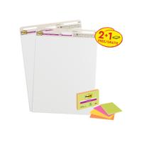 SS MEETING CHART/NOTES 2+1 PK3