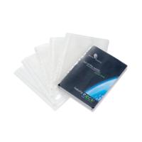 Stewart Superior Expand Cat Punched Pockets Clear (10 Pack) EPP-10