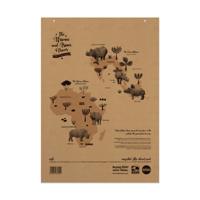 RCYC FLIPCHART 20MM SQD/PLN A1 PK5