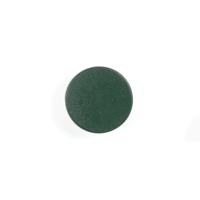 BI-OFFICE MAGNETS 30MM GREEN