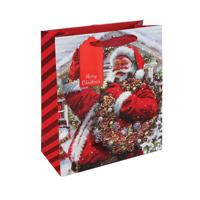 JOYFUL SANTA GIFT BAGS MED AST PK12