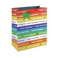 HOLO BIRTHDAY GIFT BAG LG RBW PK12