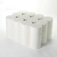 TOILET ROLL CORELESS 2-PLY WHT PK36