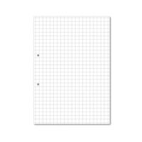 LLEF PAPER 10MM SQ PCHD 2HL A4 PK5