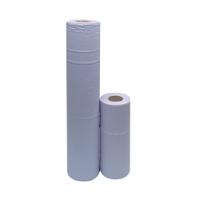 2WORK HYG ROLL 2-PLY 10IN BLUE PK24