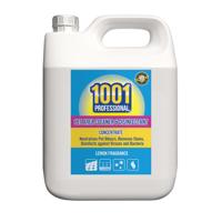 1001 PRO PET AREA CLNR + DIS 5L PK2