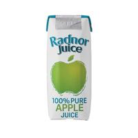 RADNOR PURE APPLE JUICE 125ML PK60